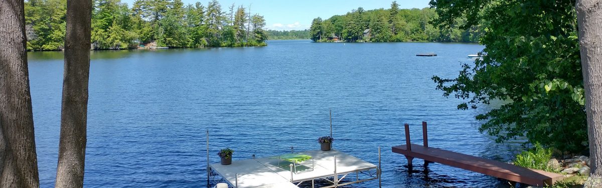 Contact – Federation of Vermont Lakes and Ponds