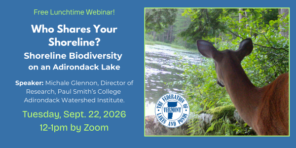 announcement of webinar with photo of deer at shoreline