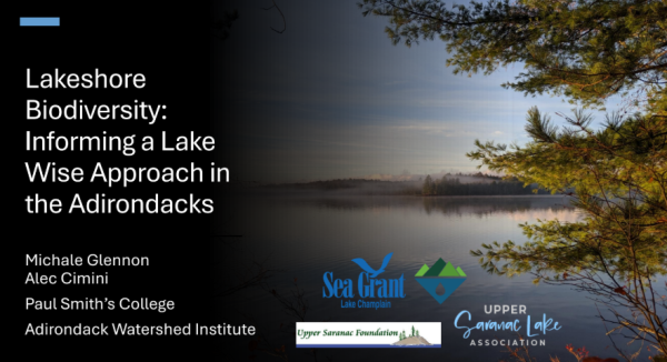 cover slide of webinar presentation