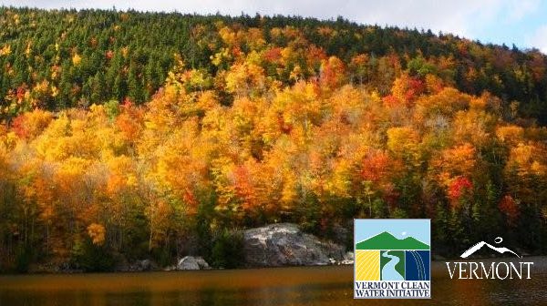 fall foliage around lake